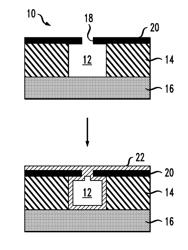 Feedback control of dimensions in nanopore and nanofluidic devices