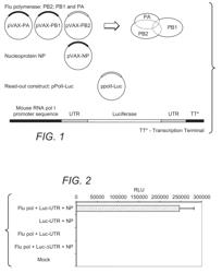 Small molecule inhibitors of influenza A RNA-dependent RNA polymerase