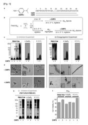 PHARMACEUTICAL COMPOSITION FOR TREATING OR PREVENTING DEGENERATIVE BRAIN DISEASE COMPRISING MULTI-TARGETING COMPOUNDS