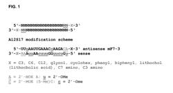 NOVEL FORMATS FOR ORGANIC COMPOUNDS FOR USE IN RNA INTERFERENCE