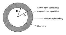 Magnetic microbubbles, methods of preparing them and their uses