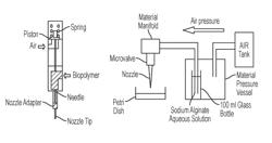 Method for creating an internal transport system within tissue scaffolds using computer-aided tissue engineering