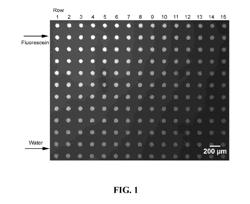 Methods and systems for performing digital measurements