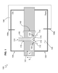 DNA/RNA in a Y-shaped nanochannel