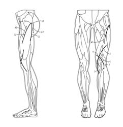 Cutaneous proprioreceptive activation garment system