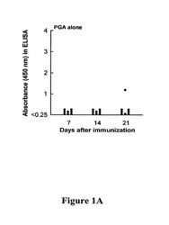 Detection, prevention, and treatment of anthrax and other infectious diseases