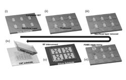 Biodegradable microwave electronic devices