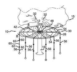 Tree Mounted Tarp Device