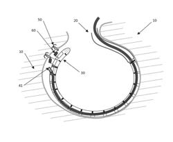 DEVICES AND METHODS OF VISUALIZING AND DETERMINING DEPTH OF PENETRATION IN CARDIAC TISSUE