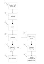 INTERNALLY-ADMINISTERED RADIATION THERAPY USING ENDOSCOPIC IMAGE GUIDANCE