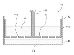 SEPARATION DEVICE AND SEPARATION METHOD