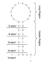 Methods and compositions for backscattering interferometry