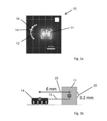 SOFT-BODY DEFORMATION AND FORCE SENSING