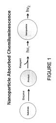 In vivo imaging of enzymatic activity