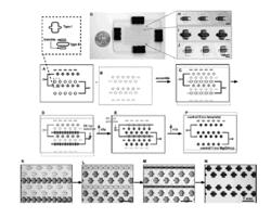 Analysis devices, kits, and related methods for digital quantification of nucleic acids and other analytes