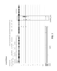 INHIBITION OF A lncRNA FOR TREATMENT OF MELANOMA