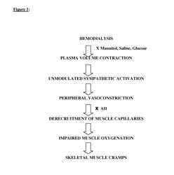 USE OF ANGIOTENSIN II (AII) RECEPTOR AGONISTS TO PREVENT OR REDUCE HEMODIALYSIS-ASSOCIATED SKELETAL MUSCLE CRAMPS