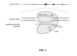 FUNCTIONAL GENOMICS USING CRISPR-CAS SYSTEMS, COMPOSITIONS, METHODS, SCREENS AND APPLICATIONS THEREOF