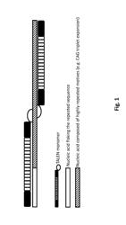 DESIGN OF RARE-CUTTING ENDONUCLEASES FOR EFFICIENT AND SPECIFIC TARGETING DNA SEQUENCES COMPRISING HIGHLY REPETITIVE MOTIVES