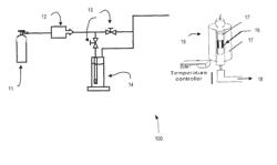 PRODUCTION OF BIOCHAR ABSORBENT FROM ANAEROBIC DIGESTATE