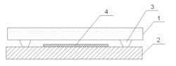 PACKAGING DEVICE AND PACKAGING METHOD