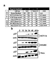 Method for producing intermediates for the production of novel macrocycles that are inhibitors of the proteasomic degradation of p27, such as argyrin and derivatives thereof, and uses of said macrocycles