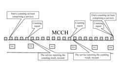 Multimedia broadcast multicast service counting method and system