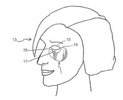 COMPOSITIONS INCLUDING SESAMIN, METHODS OF MAKING AND USING THE SAME IN SKIN ANTI-AGING AND SKIN LIGHTENING APPLICATIONS