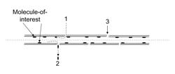 Methods of attaching a molecule-of-interest to a microtube