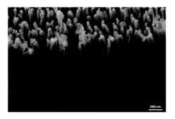 Method for the production of conical nanostructures on substrate surfaces