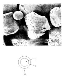 Sintering aid coated YAG powders and agglomerates and methods for making