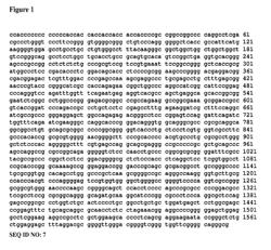 Recombinant virus products and methods for inhibition of expression of DUX4