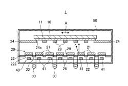 Thin film forming apparatus and thin film forming method