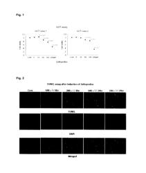 DRUG FOR PREVENTING, TREATING OR PREVENTING METASTASIS OF GIANT CELL TUMOR THAT OCCURS IN BONE OR SOFT PARTS, CHONDROSARCOMA, OR OSTEOSARCOMA, LOCAL INJECTION FOR ARTERIAL EMBOLIZATION, AND ARTIFICIAL BONE