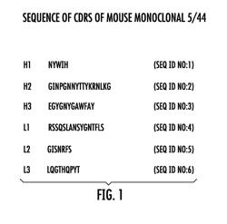 CALICHEAMICIN DERIVATIVE-CARRIER CONJUGATES