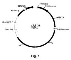 Cellulolytic enzyme compositions and uses thereof