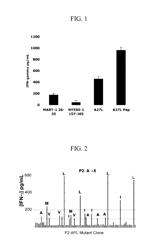 Conditional Superagonist CTL Ligands for the Promotion of Tumor-Specific CTL Responses