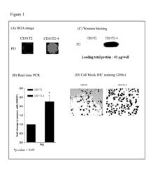 METHOD FOR PREDICTING THE SURVIVAL STATUS AND PROGNOSIS OF ESOPHAGEAL CANCER AND A KIT THEREOF