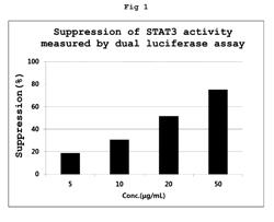 Composition for preventing or treating cancer containing extracts of artocarpus altilis fruits, leaves, or stems, or fractions thereof as active ingredients