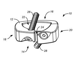 INTERVERTEBRAL SPACER THAT DYNAMICALLY PROMOTES BONE GROWTH