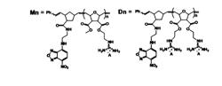 PROTEIN TRANSDUCTION DOMAINS MIMICS