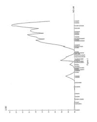 NOVEL HUMAN GENES RELATING TO RESPIRATORY DISEASES AND OBESITY