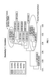 PROSTATE CANCER GENE PROFILES AND METHODS OF USING THE SAME