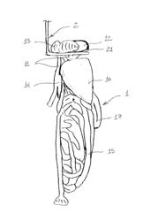 Method, a system and a guide assembly for separating viscera sets eviscerated from slaughtered poultry