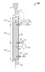 Continuous or semi-continuous biomass wash system for hydrothermal hydrocatalytic conversion