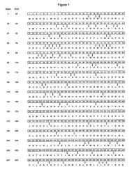 PRAME DERIVED PEPTIDES AND IMMUNOGENIC COMPOSITIONS COMPRISING THESE