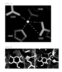 L-arabinose Isomerase Variants with Improved Conversion Activity and Method for Production of D-tagatose Using them