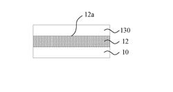 FLEXIBLE ELECTRODE LAYER AND MANUFACTURING METHOD THEREOF, DISPLAY SUBSTRATE AND DISPLAY DEVICE