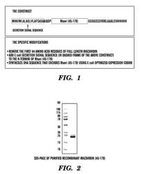 Modified biotin-binding protein, fusion proteins thereof and applications