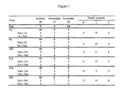 Wheat plants having increased resistance to imidazolinone herbicides